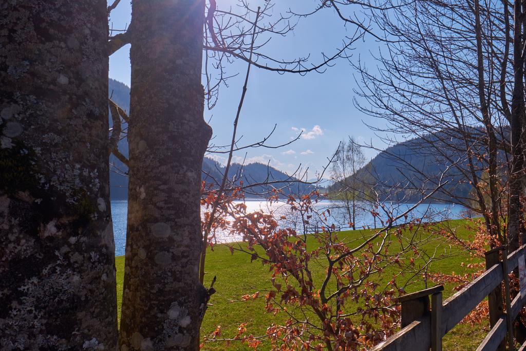 Pension Aloisia Шеффау-ам-Вільден-Кайзер Екстер'єр фото