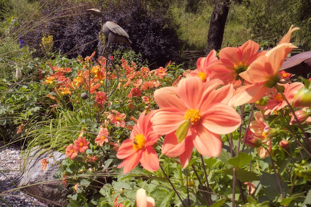 Pension Aloisia Шеффау-ам-Вільден-Кайзер Екстер'єр фото