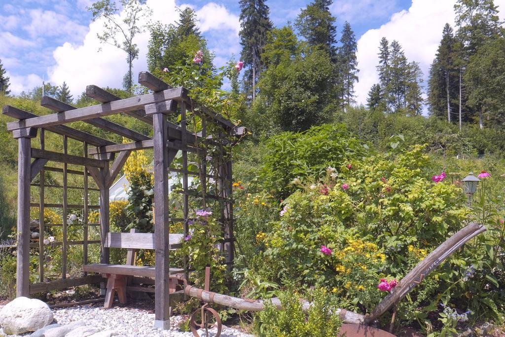 Pension Aloisia Шеффау-ам-Вільден-Кайзер Екстер'єр фото