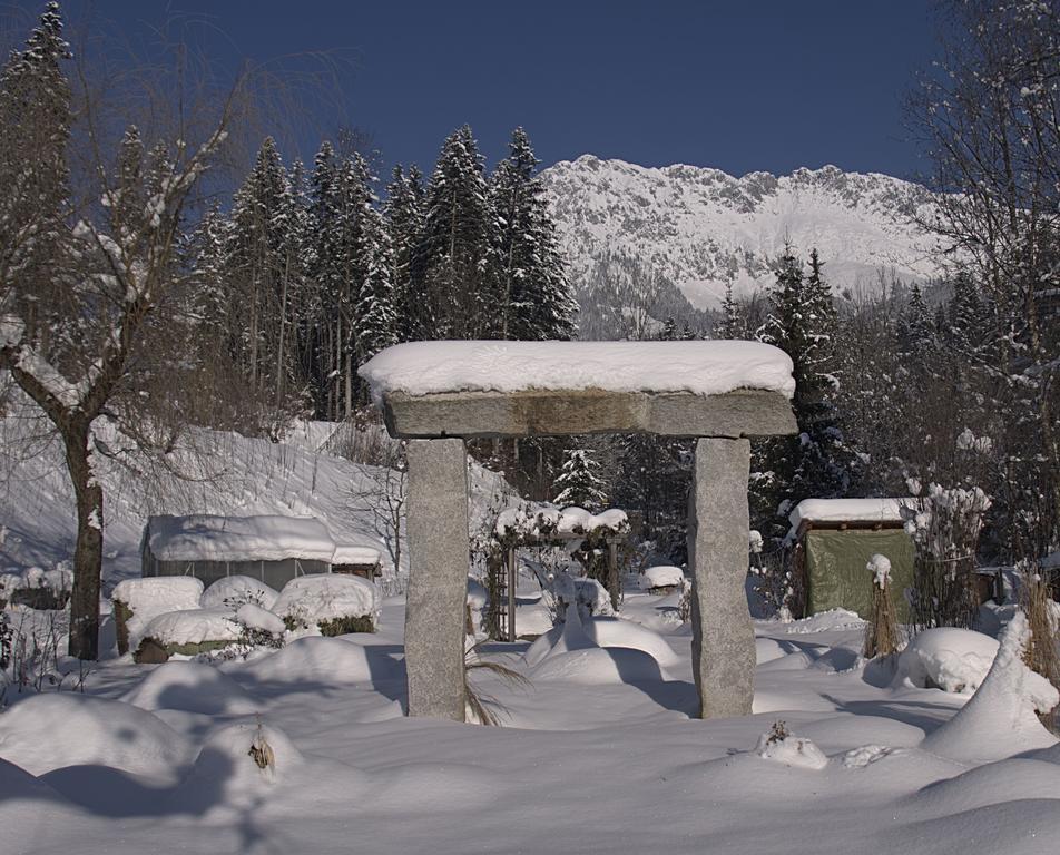 Pension Aloisia Шеффау-ам-Вільден-Кайзер Екстер'єр фото