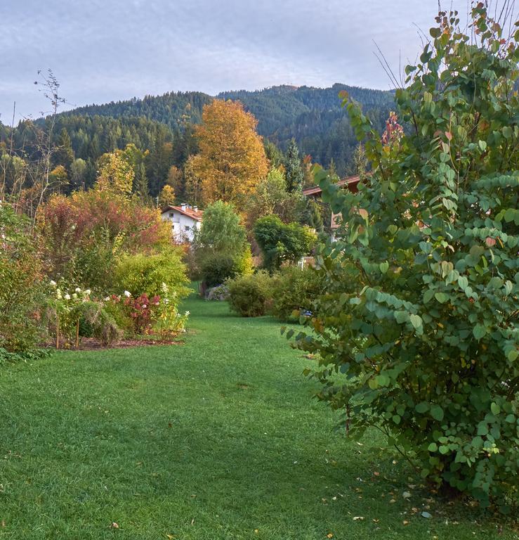 Pension Aloisia Шеффау-ам-Вільден-Кайзер Екстер'єр фото